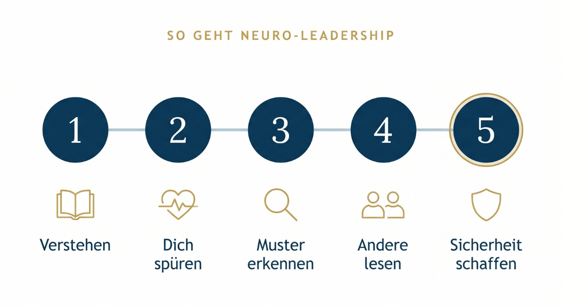 Grafik, die die 5 Schritte von Neuro-Leadership aus dem Text in einer Reihe nebeneinander darstellt.